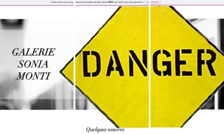 Art Essentiel - Sonia Monti