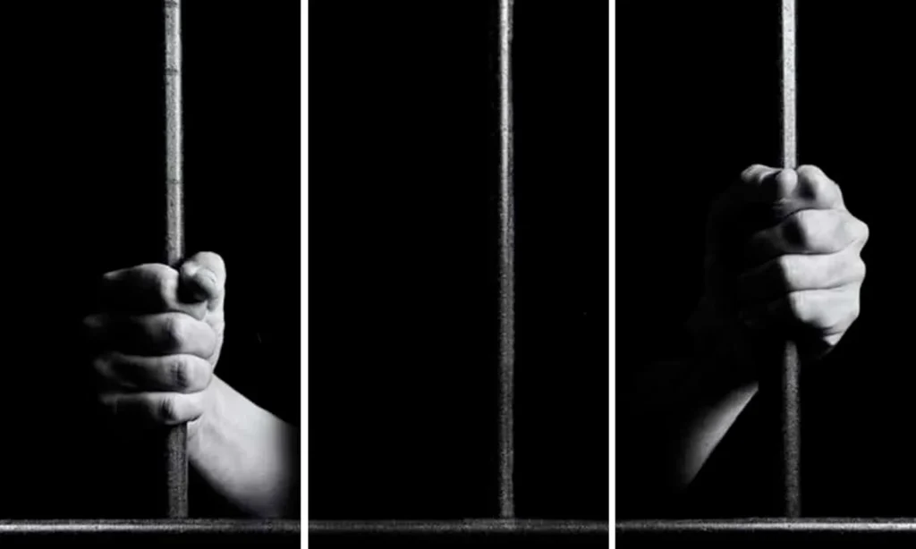 Art Essentiel - Sonia Monti la suite