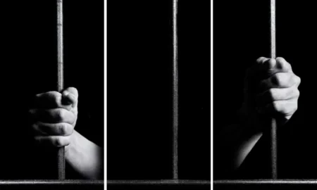 Art Essentiel - Sonia Monti la suite